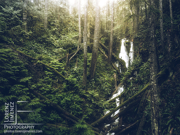 DJI_0004-Edit