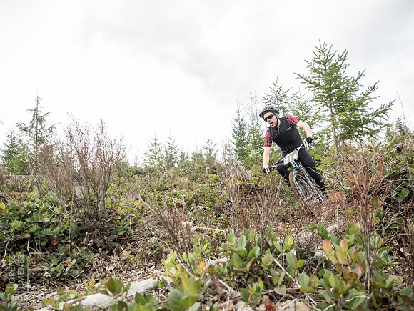 LJ_20150412-_4129648