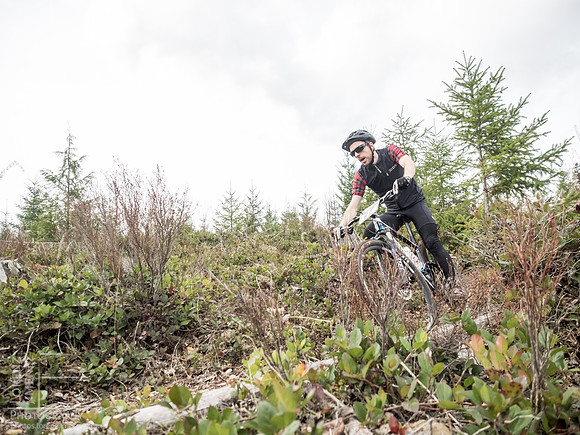 LJ_20150412-_4129649