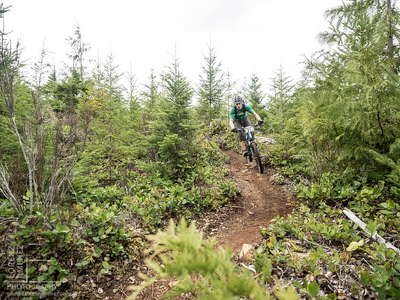LJ_20150412-_4129718