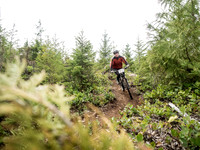 Island Cup 2015 Cumberland XC