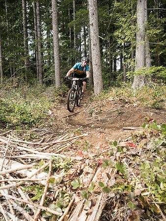 LJ_20150412-_4129945