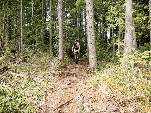 LJ_20150412-_4120016