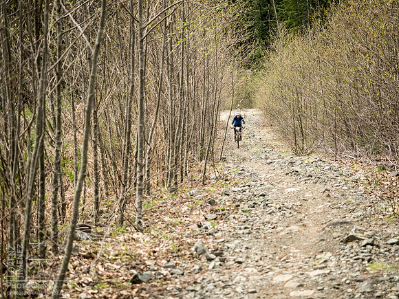 LJ_20150412-_4120225