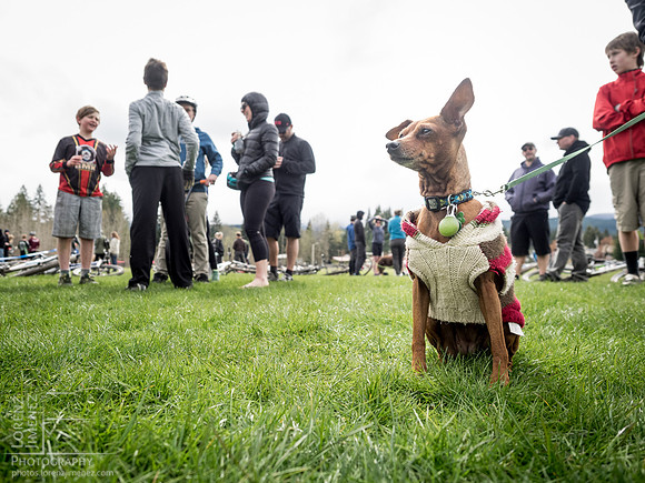 LJ_20150412-_4120288