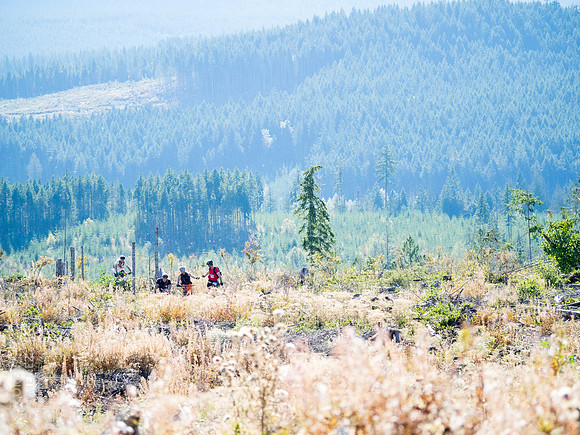 LJ_20140920-_9200617-2