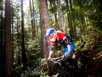 Island Cup 2015 Cumberland DH