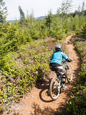 LJ_20150419-P4190258