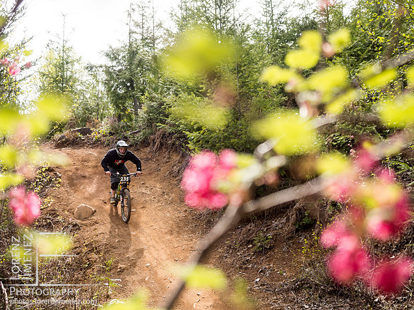 LJ_20150419-P4190278