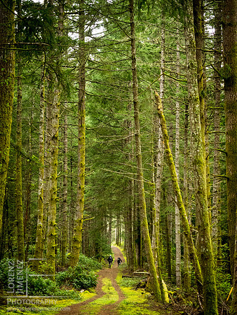 LJ_20150413-_4130419