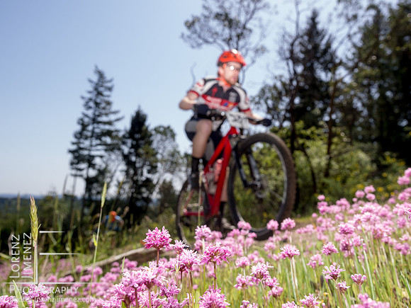 LJ_20150503-P5030441