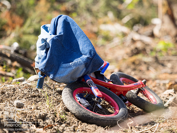 LJ_20150503-_5031812