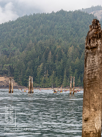 LJ_20220924-C3009428