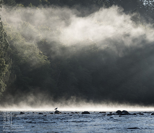 Campbell River morning