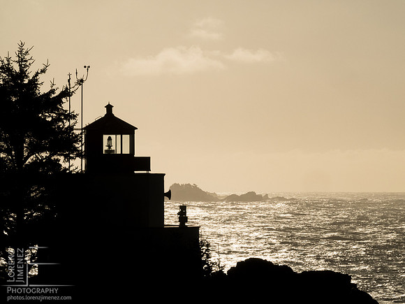 Amphitrite Silhouette