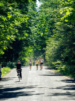 Snowden Trail Run 2026