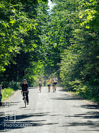 Snowden Trail Run 2026