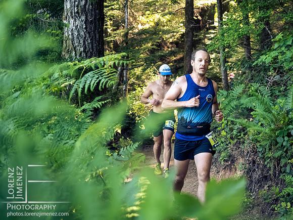 Snowden Trail Run 2026