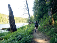 Snowden Trail Run 2026