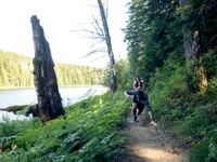 Snowden Trail Run 2026