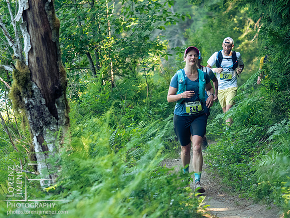 Snowden Trail Run 2026