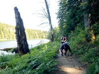 Snowden Trail Run 2026