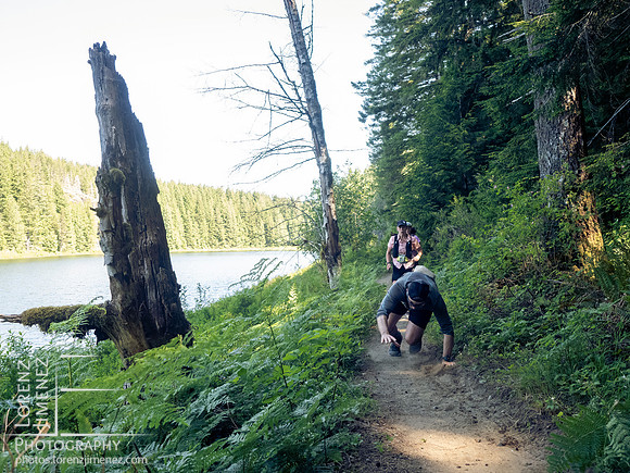 Snowden Trail Run 2026