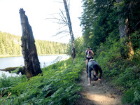 Snowden Trail Run 2026
