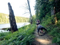 Snowden Trail Run 2026