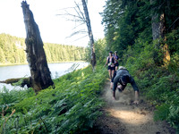 Snowden Trail Run 2026