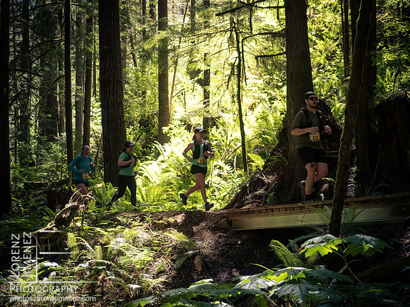 Snowden Trail Run 2026