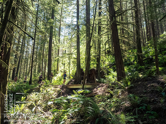 Snowden Trail Run 2026