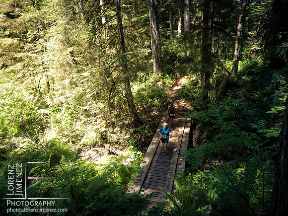 Snowden Trail Run 2026