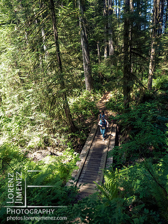 Snowden Trail Run 2026