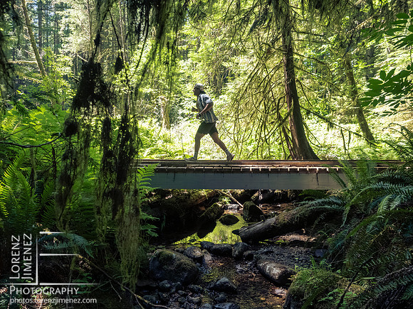 Snowden Trail Run 2026