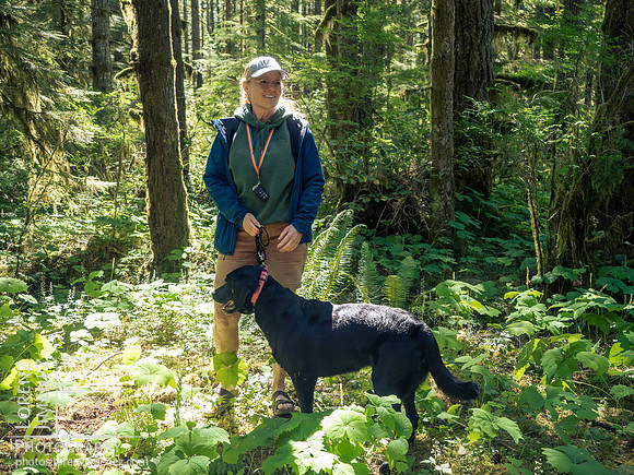 Snowden Trail Run 2026