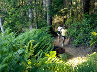 Snowden Trail Run 2026