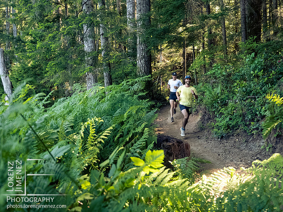 Snowden Trail Run 2026