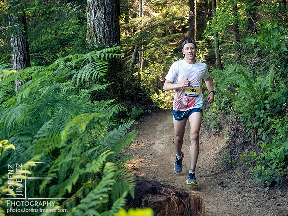 Snowden Trail Run 2026