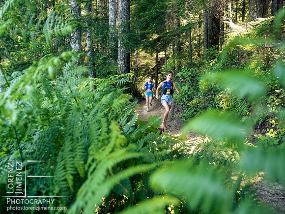 Snowden Trail Run 2026