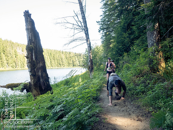 Snowden Trail Run 2026