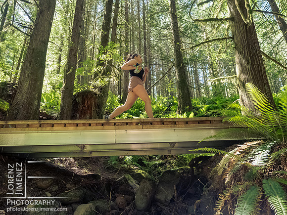 Snowden Trail Run 2026