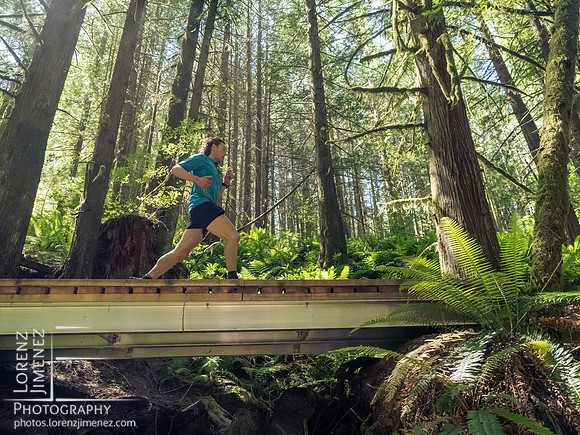 Snowden Trail Run 2026
