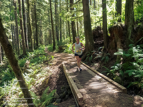Snowden Trail Run 2026