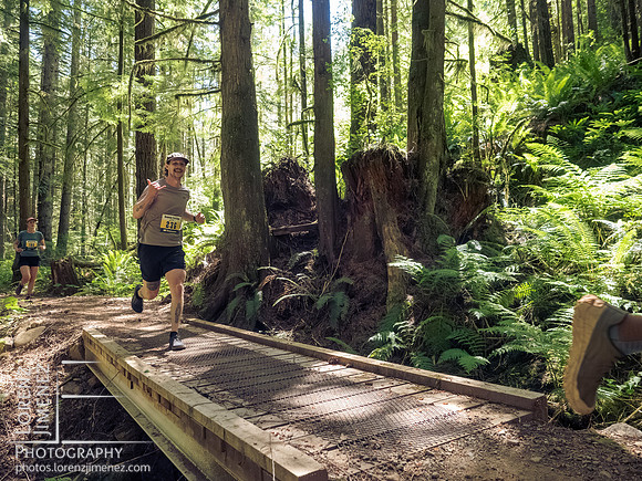Snowden Trail Run 2026