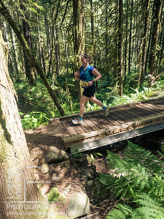 Snowden Trail Run 2026