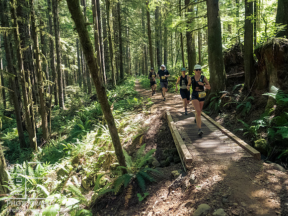 Snowden Trail Run 2026
