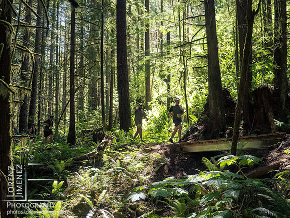 Snowden Trail Run 2026