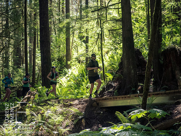 Snowden Trail Run 2026