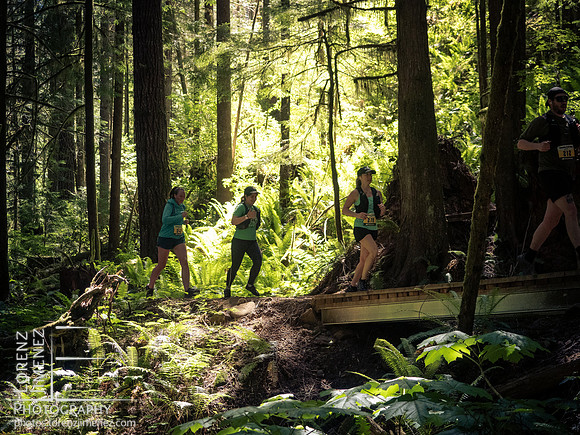 Snowden Trail Run 2026